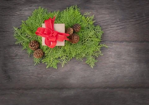 Gift box with thuja Stock Photos