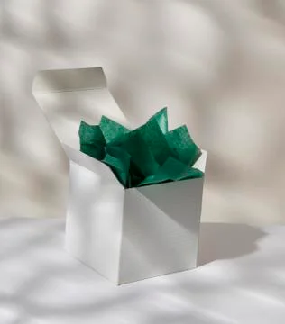 Gift box with tissue paper Stock Photos