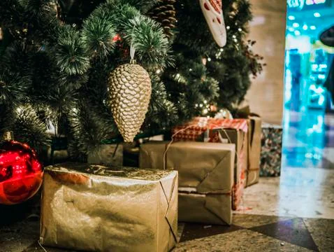 Gift box under the christmas tree. Stock Photos