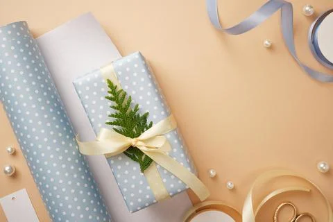 Gift box wrapped in light blue polka dot paper with cream satin bow and gre.. Stock Photos