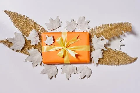 Gift boxes and fall leaves on white Stock Photos