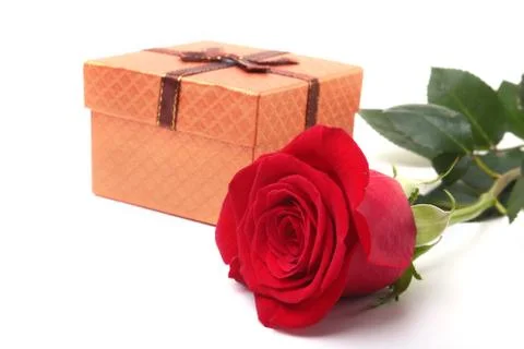 Gift boxes with bow and rose on white background. Decoration for Valentines day. Stock Photos