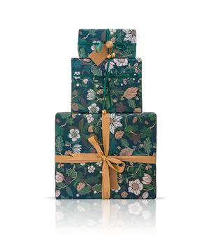 Gift boxes isolated on white background. Stock Photos