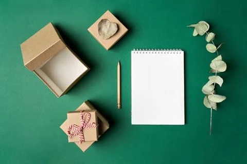 Gift boxes, notepad, pencil, branch of Eucalyptus plant on green background Stock Photos