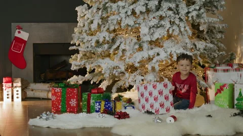 Gift boxes placed under the tree for the holidays celebration Stock Footage 225831013