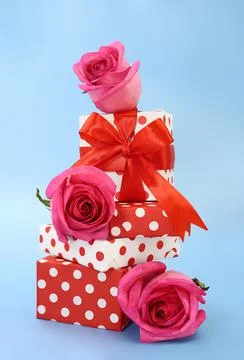Gift boxes red and white with polka dots and bow and roses on blue background Stock Photos