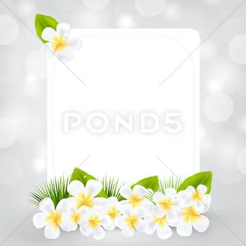 Gift card with frangipani Stock Illustration