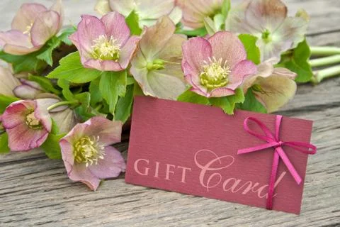 Gift card Stock Photos