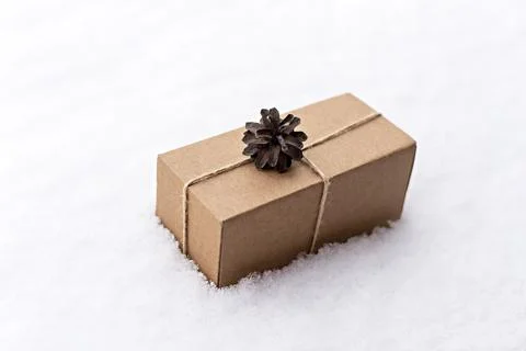 Gift in craft box decorated with pine cone on white snow, eco friendly concept Foto stock