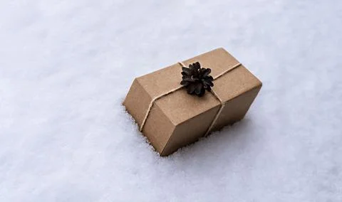 Gift in craft box decorated with pine cone on white snow, eco friendly concept Stock Photos