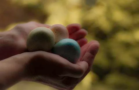 The Gift of Easter Stock Photos