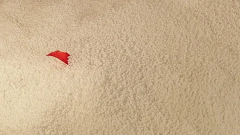 Gift Stock Footage 123515427