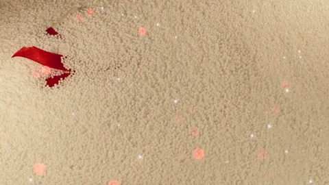 Gift Stock Footage 123947941