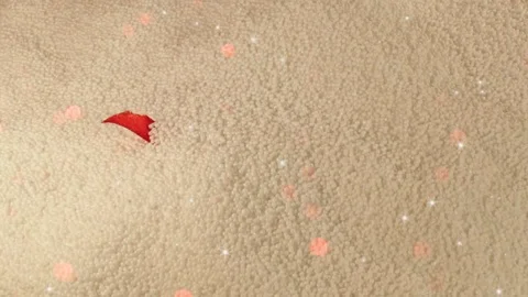 Gift Stock Footage 123947949