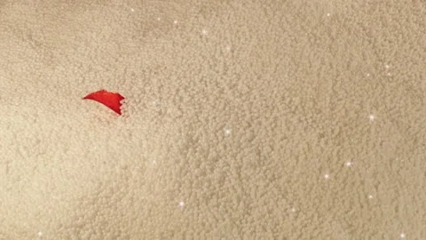 Gift Stock Footage 123947958