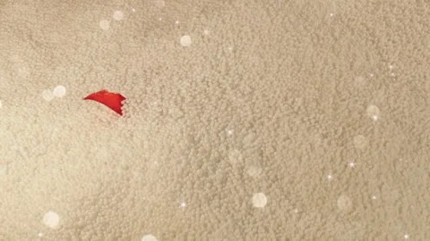 Gift Stock Footage 123947968