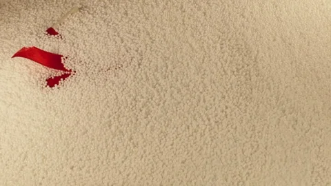 Gift Stock Footage 123994324