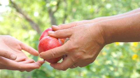 Gift giving 스톡 동영상 25335756