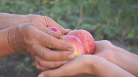 Gift giving Stock-Footage 25814317