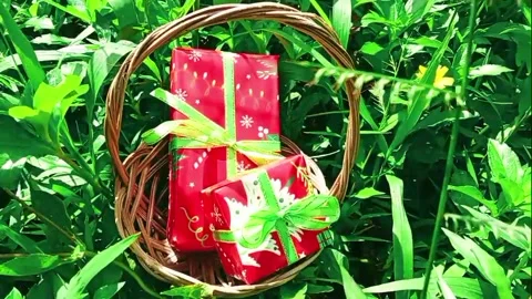 A gift in the grass Stock Footage 322900478