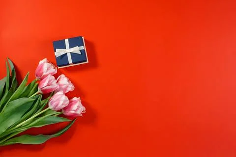 Gift or present box and beautiful spring flower on red desk from above for Stock Photos