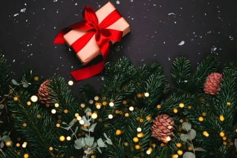 Gift with pine tree branches Stock Photos
