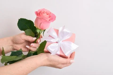 Gift pink boxes and a delicate rose in her hands on a light background Fotos de archivo