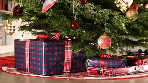 Gift is placed under a christmas tree Stock Footage 116030576