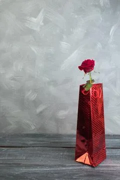 Gift, rose in a package on a gray background. Stock Photos