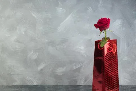 Gift rose in a package on a gray background. Flat lay. Top view with copy spa Stock Photos