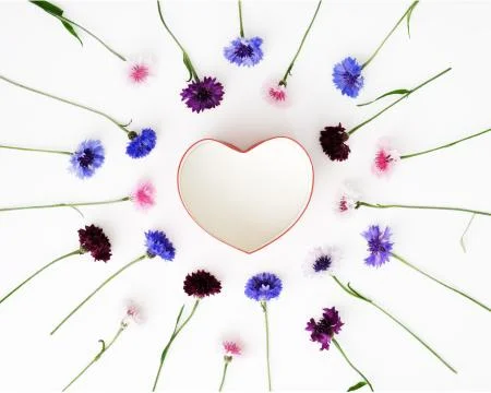 Gift in shape of heart with pattern of flowers on white background. Stock Photos
