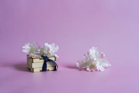 Gift in a small wooden box and white flowers decoration in pink background Stock Photos