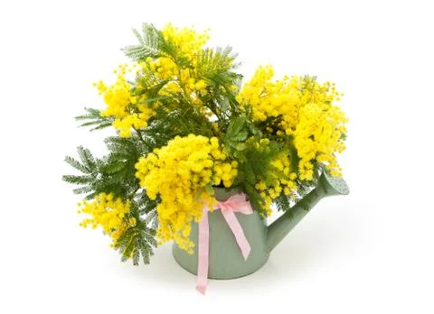 Gift for spring holidays. Stock Photos