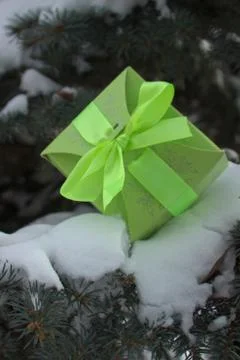 Gift on the tree 写真素材