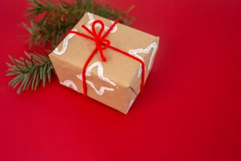 A gift wrapped in paper with handmade pattern, underneath there are sprigs .. Stock Photos