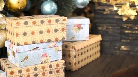 Gifts under the Christmas tree Stock Footage 101120167