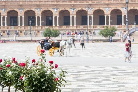 Gig with tourists on board runs through the Plaza de España in Seville Stock Photos