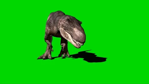 Giganotosaurus Roaring on Green Screen 0... | Stock Video | Pond5