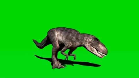 Giganotosaurus Roaring on Green Screen 0... | Stock Video | Pond5