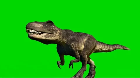 Animate Running Dinosaur Tyrannosaurus Rex 3d Stock Footage Video (100%  Royalty-free) 1012228994