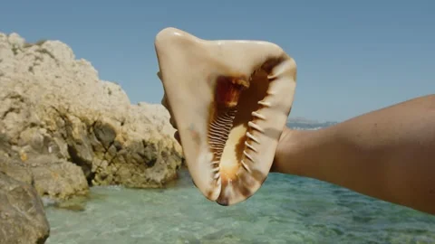 A gigantic shell approaches the camera on a heavenly beach, Marseille, France Vídeos de archivo 291303180