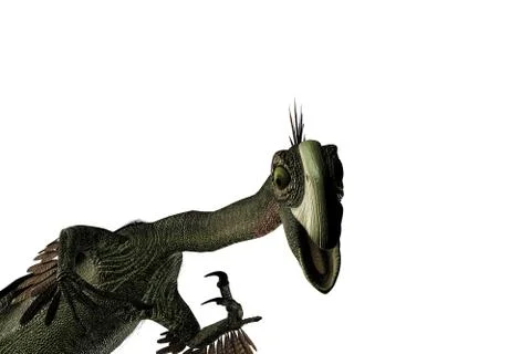 Gigantoraptor Stock Illustration