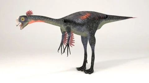 Gigantoraptor Stock Illustration