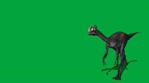 Gigantoraptor Walking Forward FS Video stock 32846614