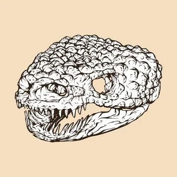 Gila monster skull head vector illustration Stock Illustration
