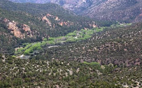 Gila River View Stock Photos