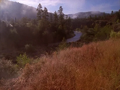 Gila wilderness Stock Footage 86751124