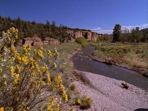 Gila wilderness Stock Footage 86751162