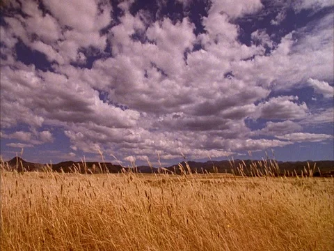 Gila wilderness Stock-Footage 86751171