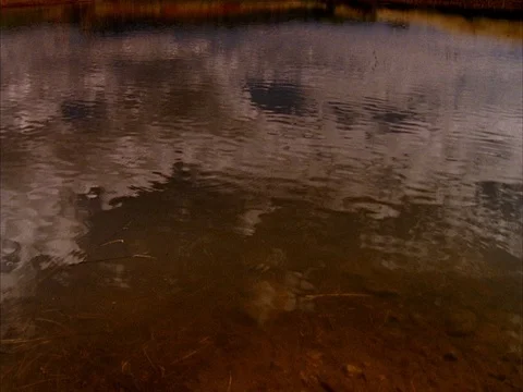 Gila wilderness Stock Footage 86751193